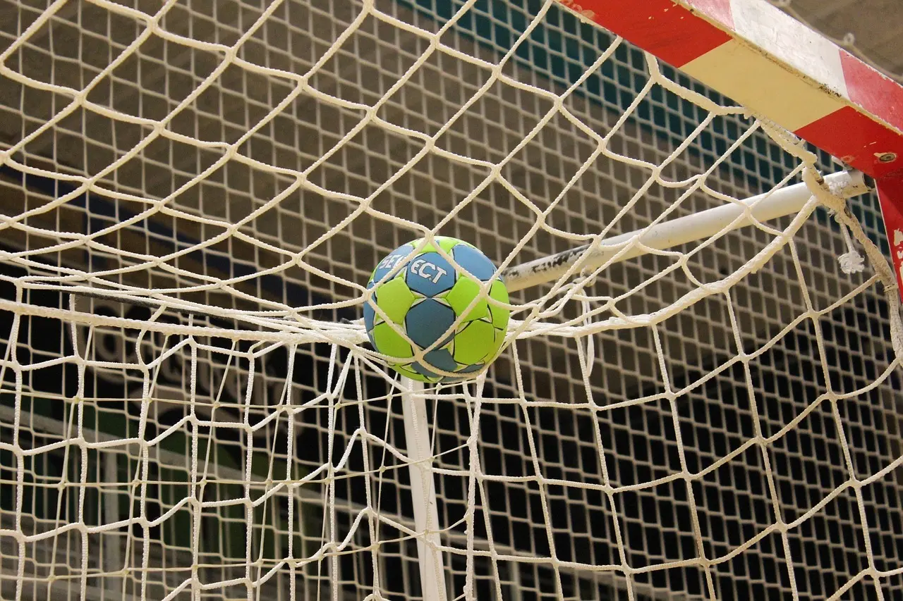 Håndbold i nettet